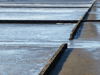 wattenmeer01